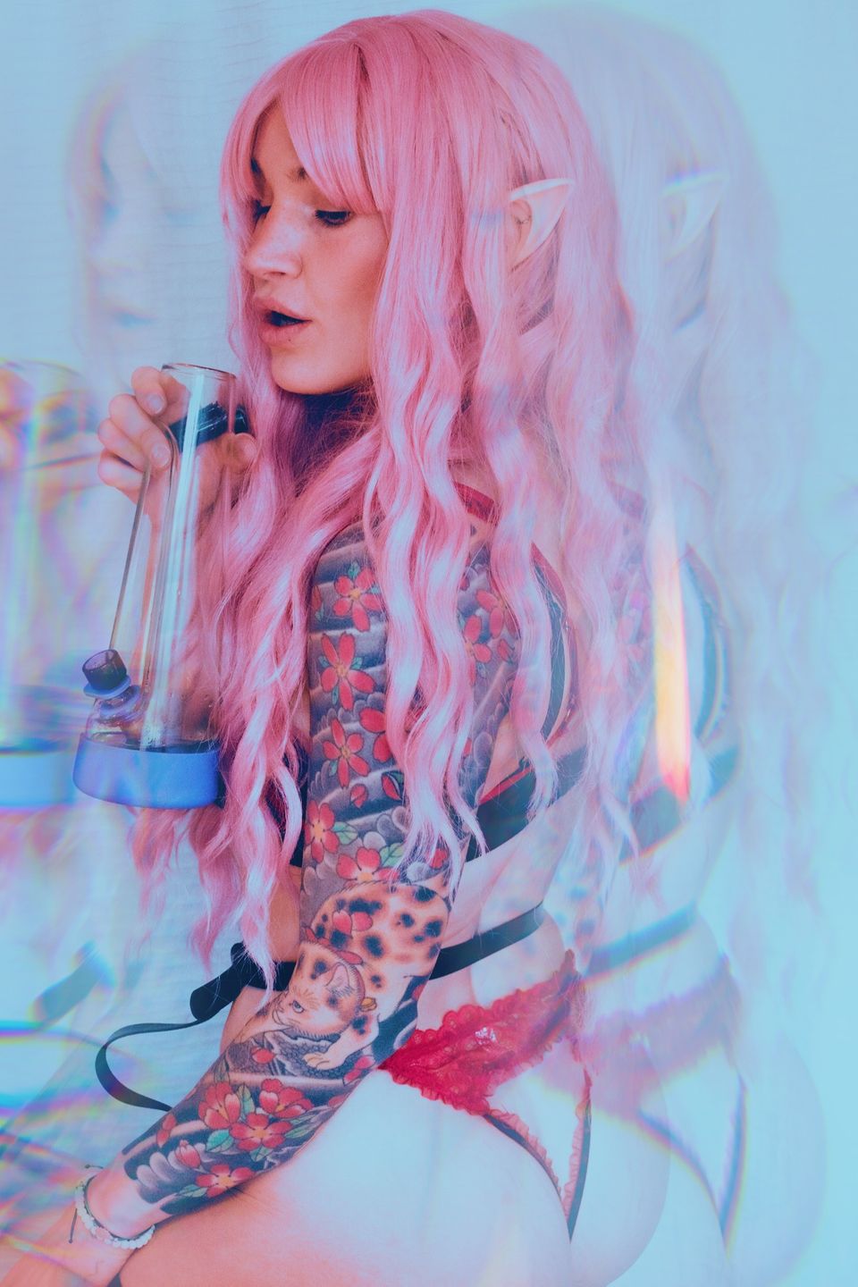 HIGH ELF PHOTOSET